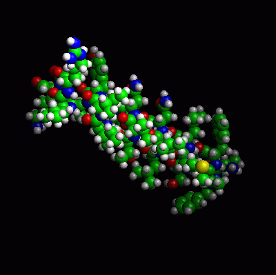 Intermolecular Forces